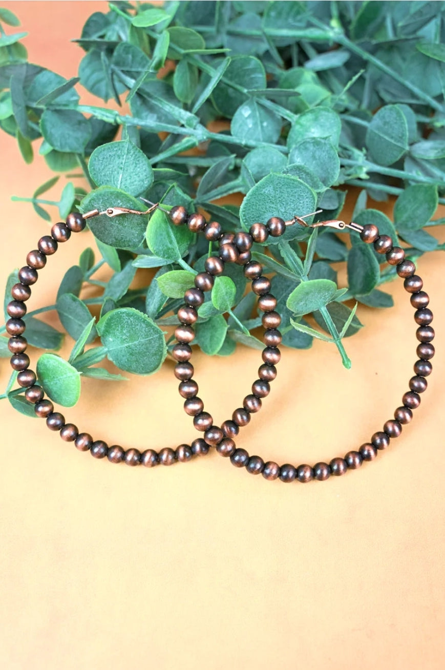 Grand Canyon Earrings